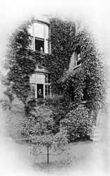 Sommer in The Pines, Swinburnes Haus in Putney, ca. 1900-09